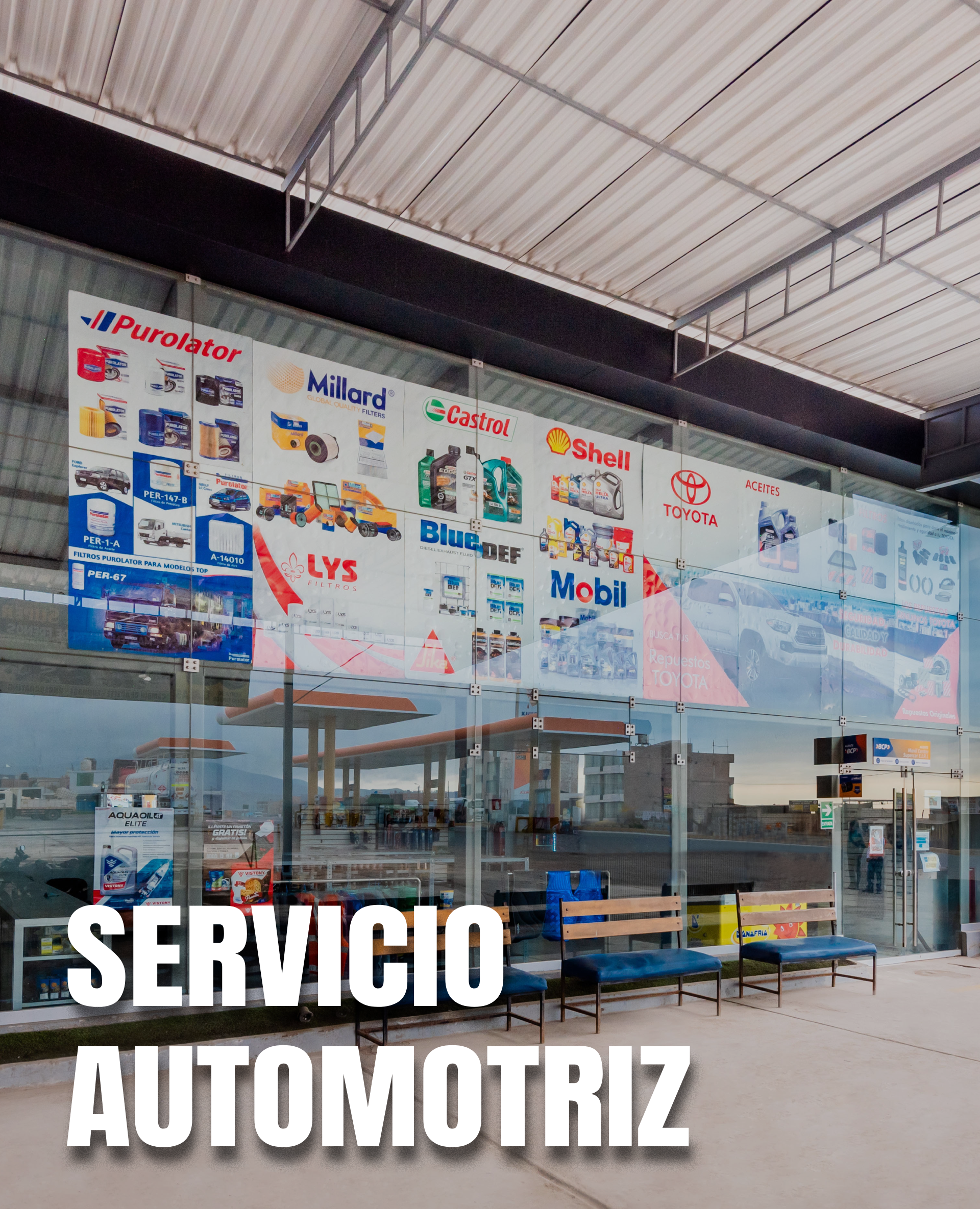 Proyecto nuevo (7)